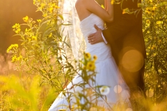 Milwaukee Wedding Photographer