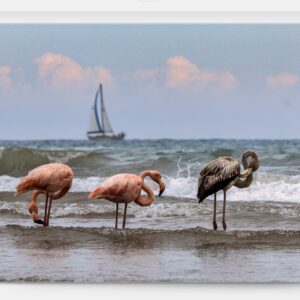 Port Washington Flamingo 2 - Image 1
